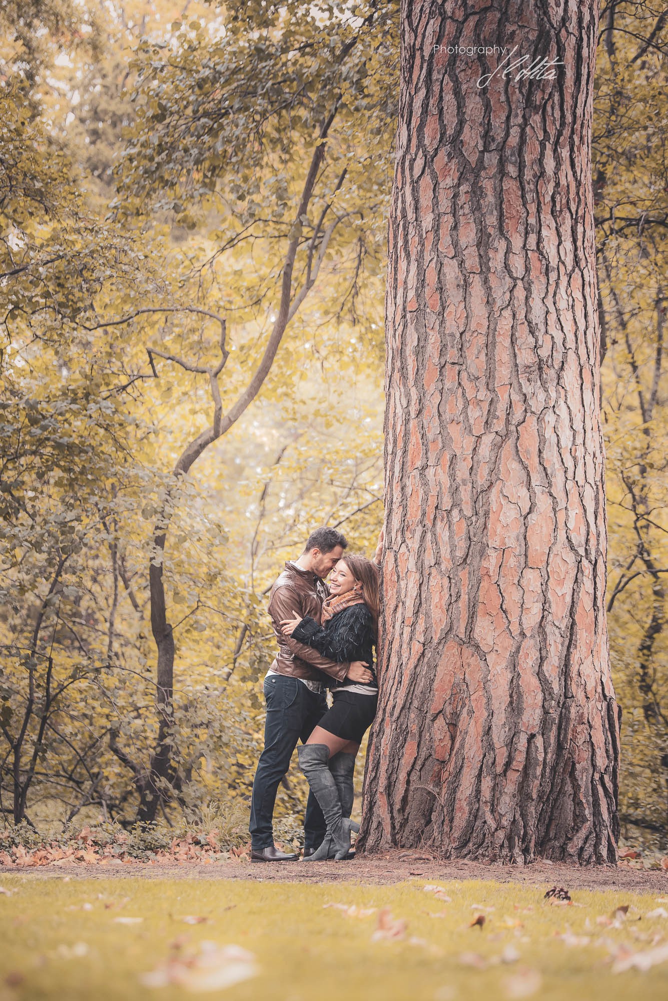 Juegos de pareja en el gran pino