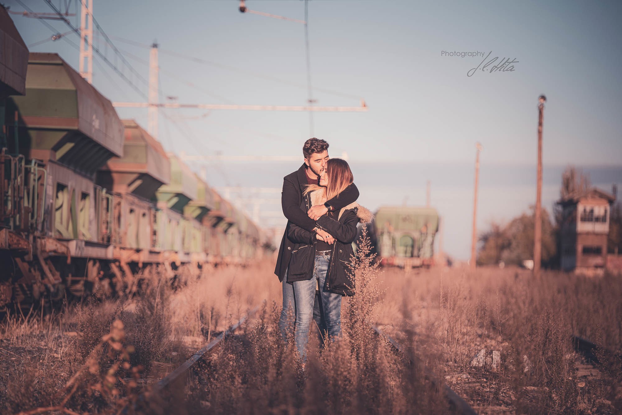 Los trenes de Algodor