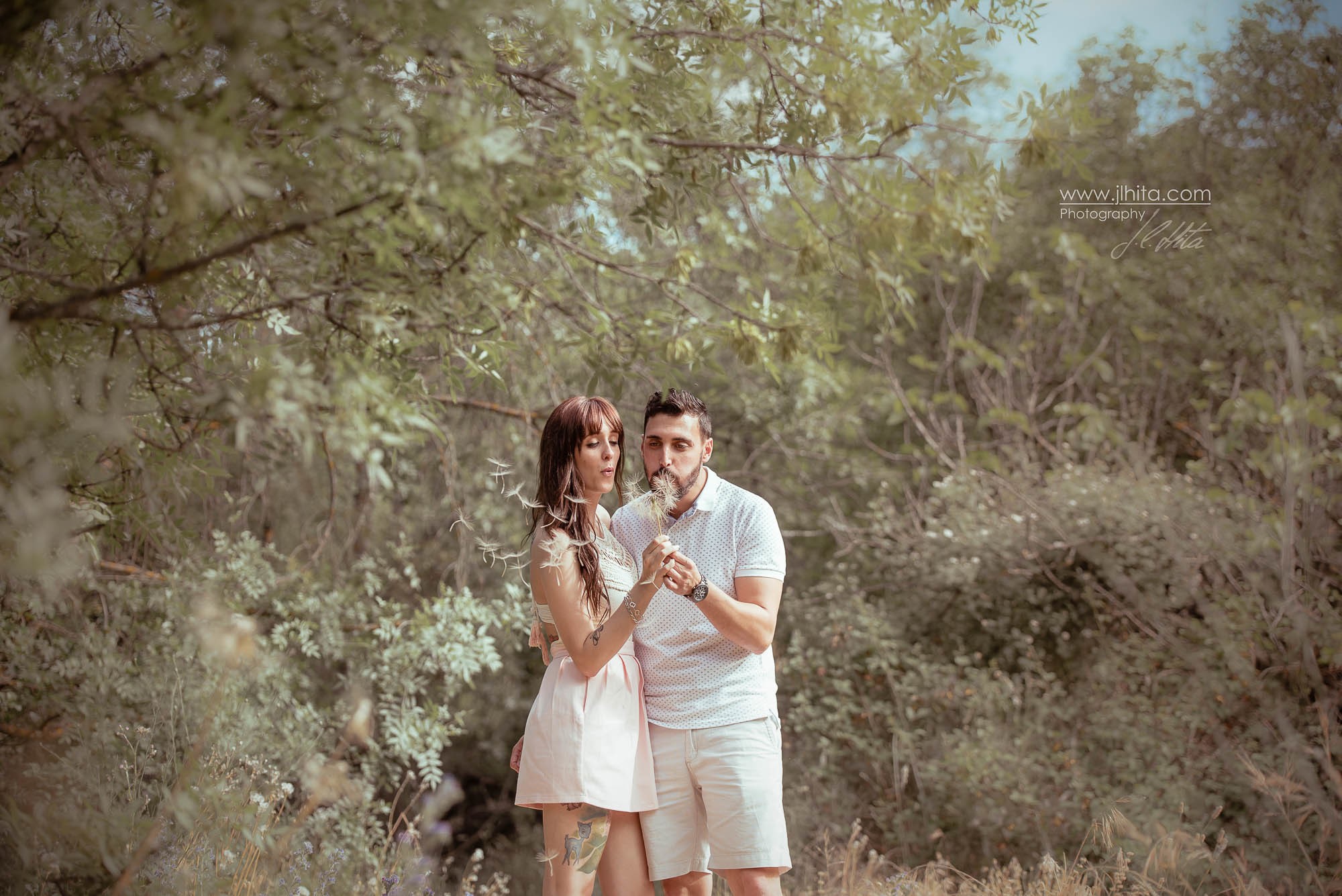 Soplando Dientes de León