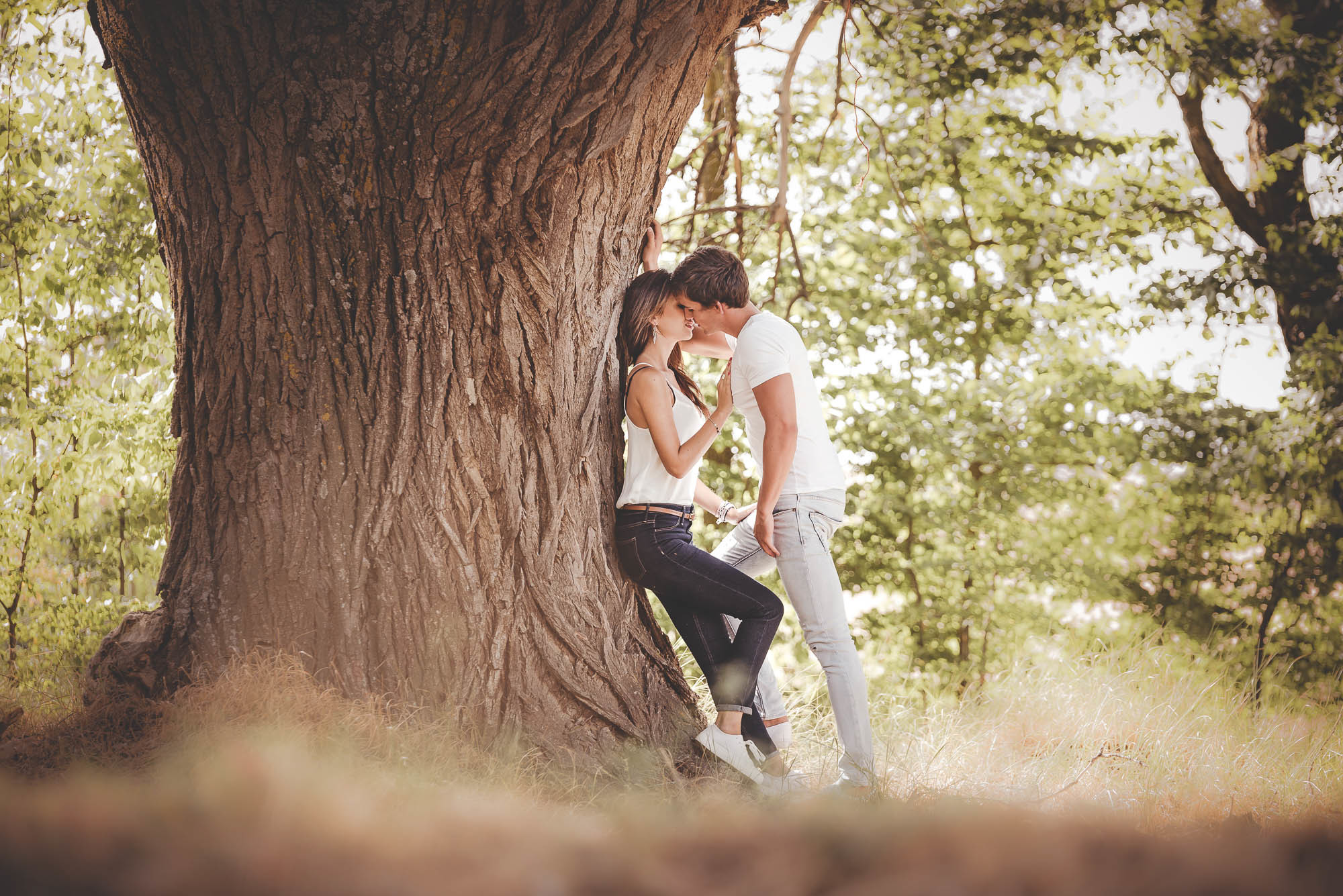 El gran tronco en Heras de Ayuso