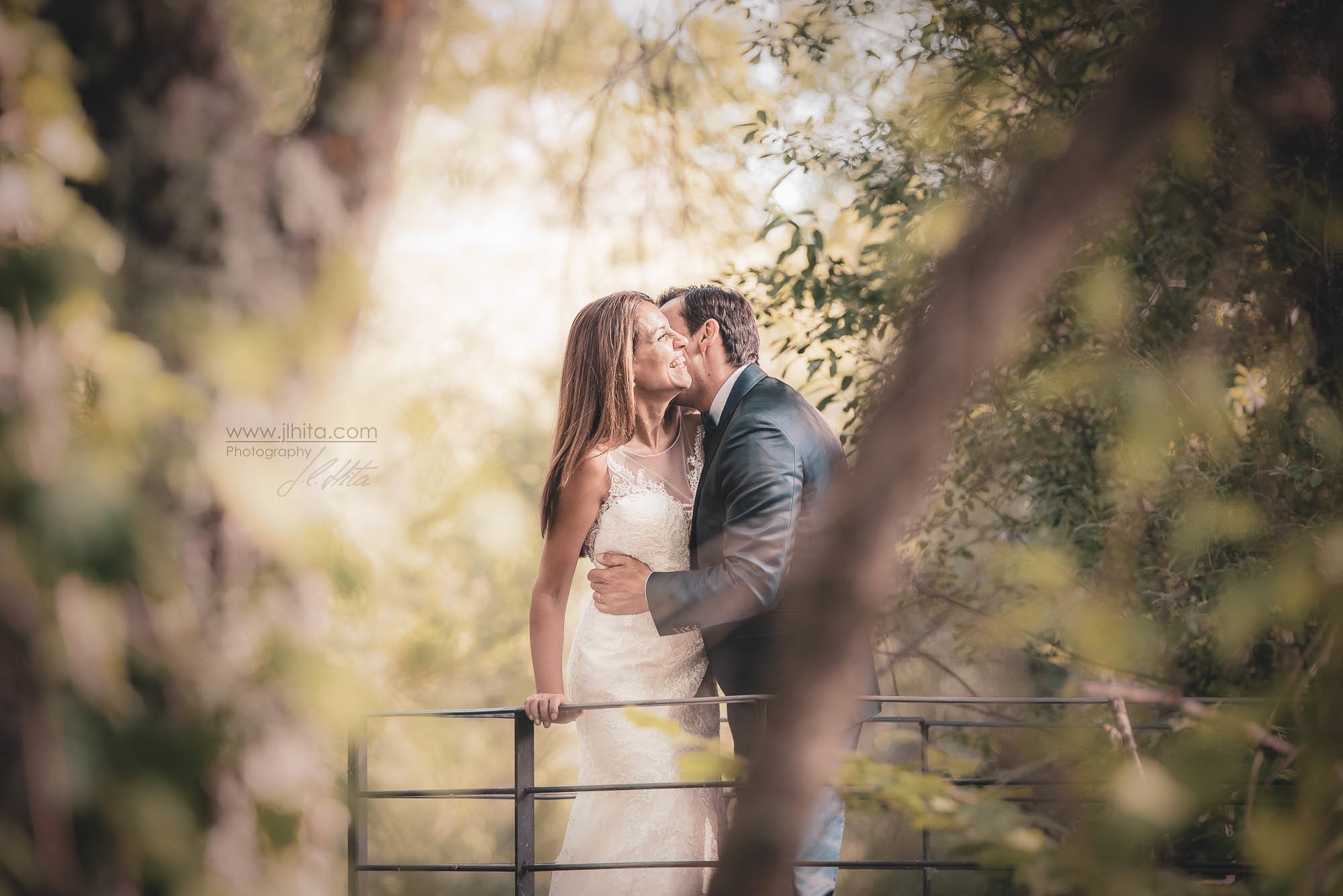 El mirador del bosque