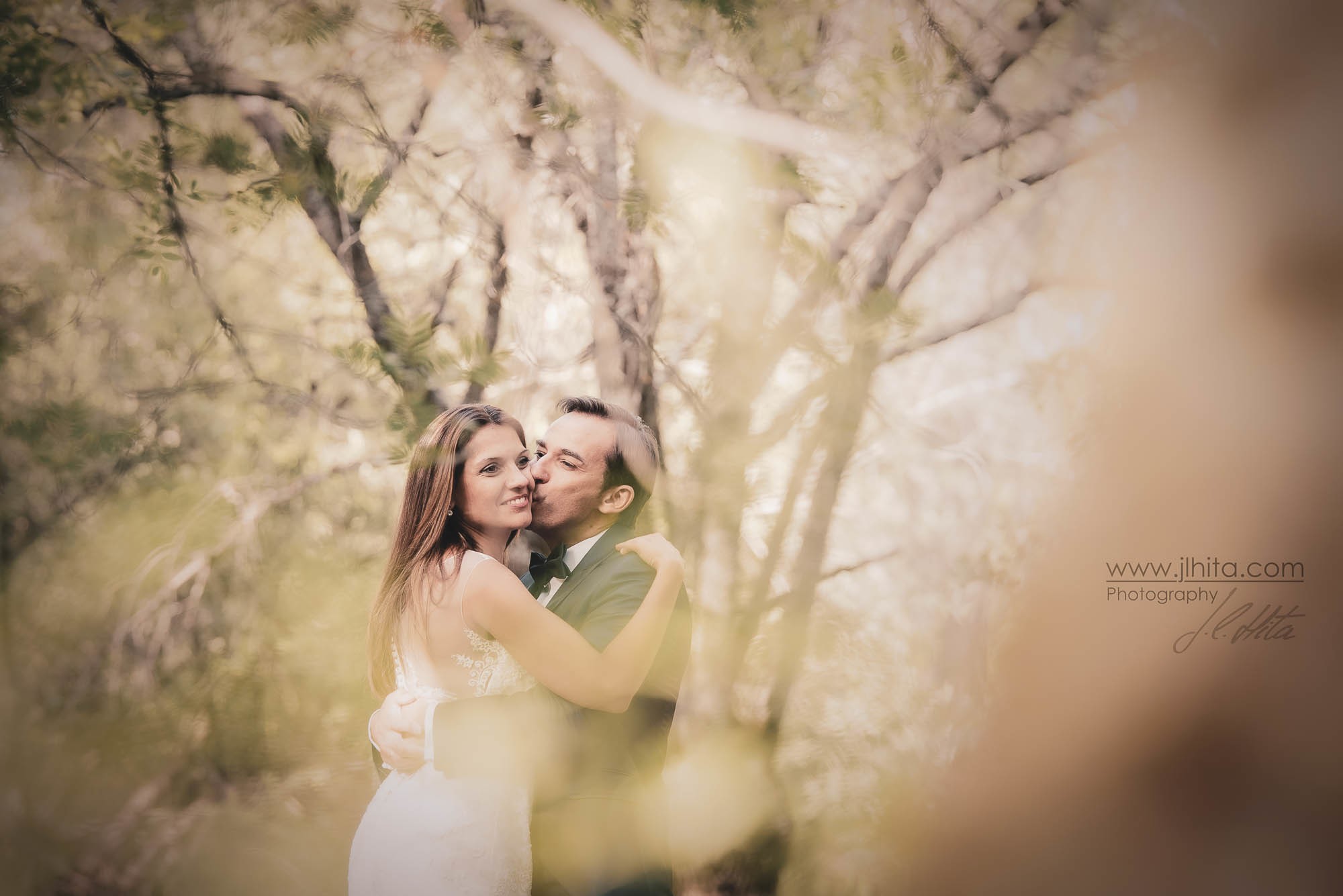 En el medio del bosque