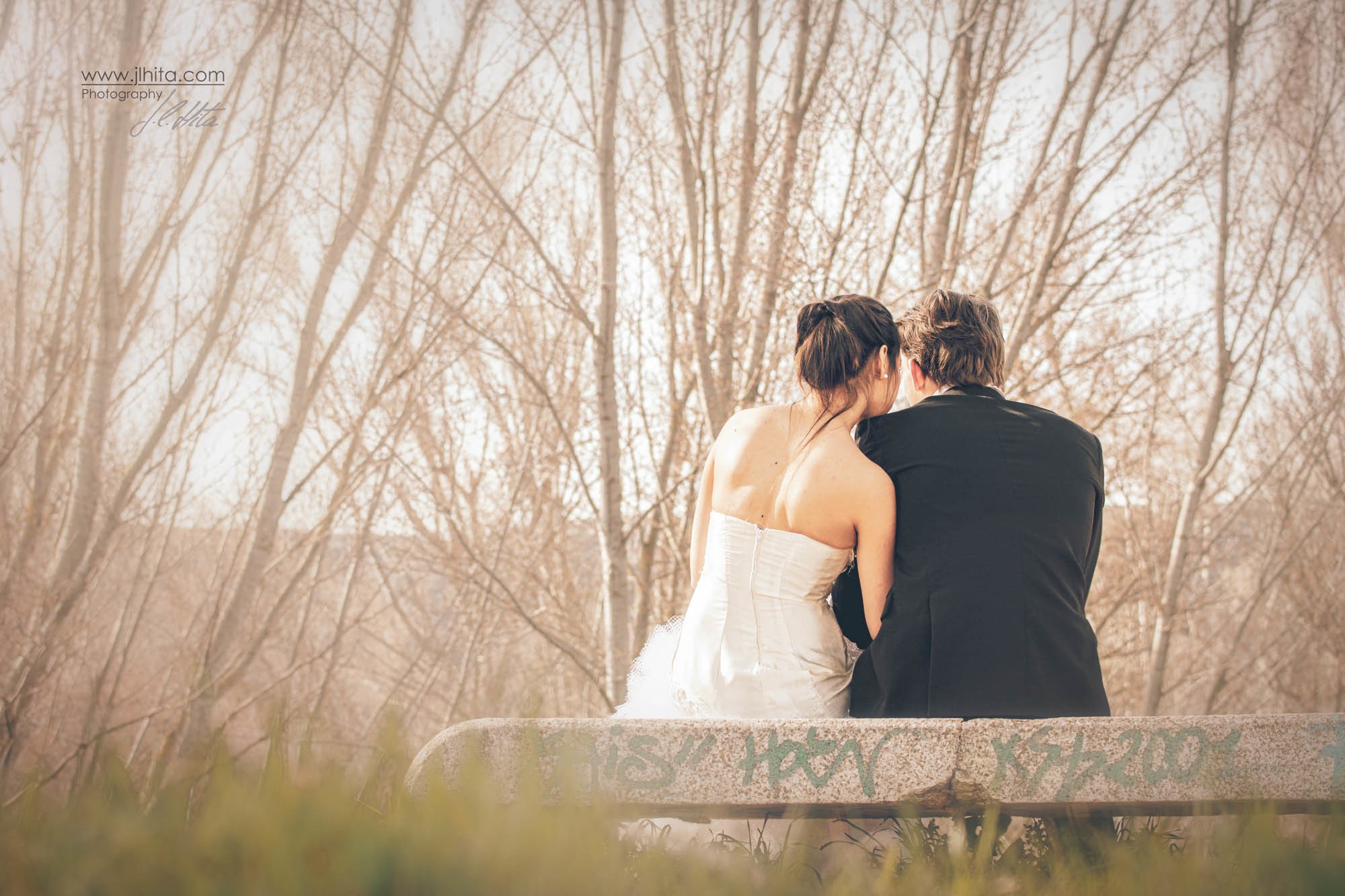 Mirando a la arboleda