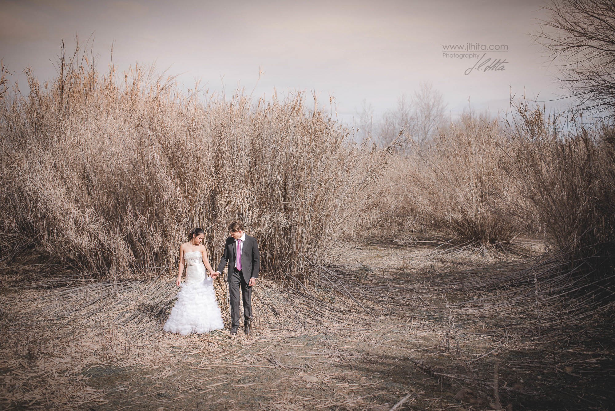 Novios entre los juncos