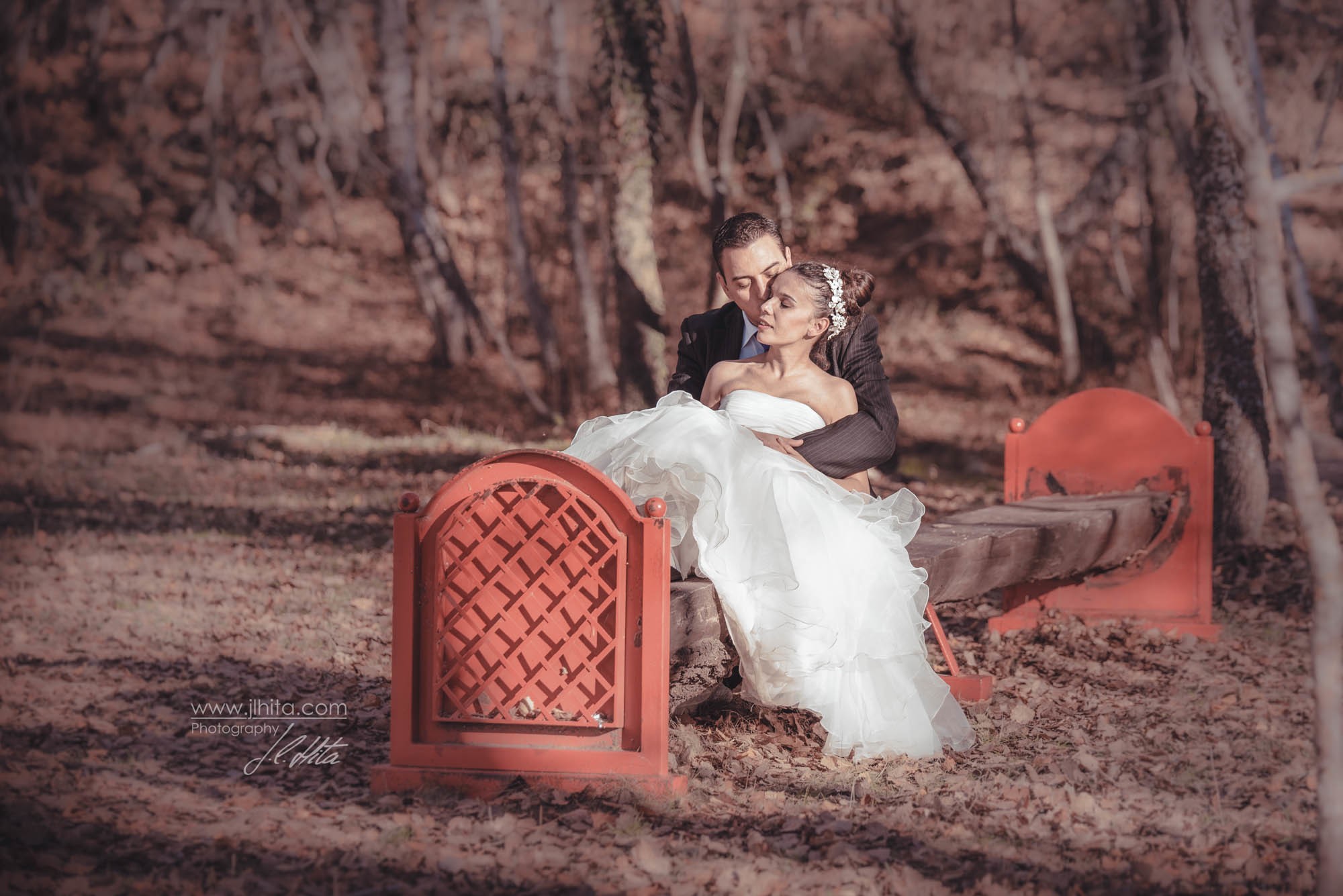 Banco rojo en el bosque Finlandés