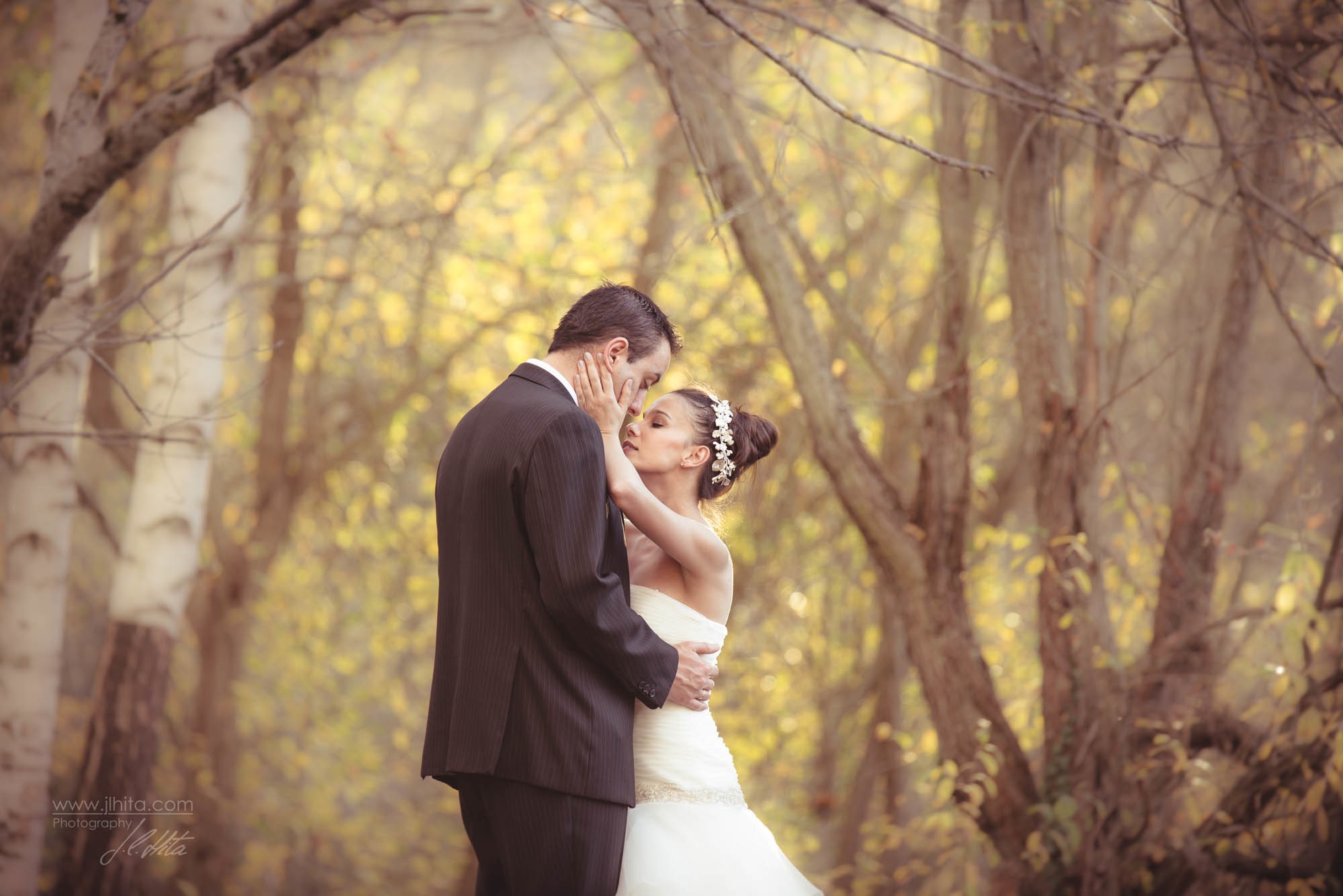 Postboda novios pasión