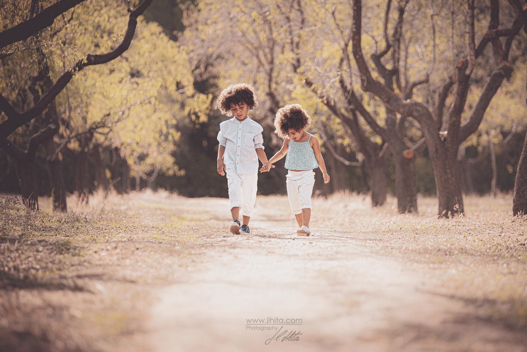Paseo entre almendros Quinta de los Molinos
