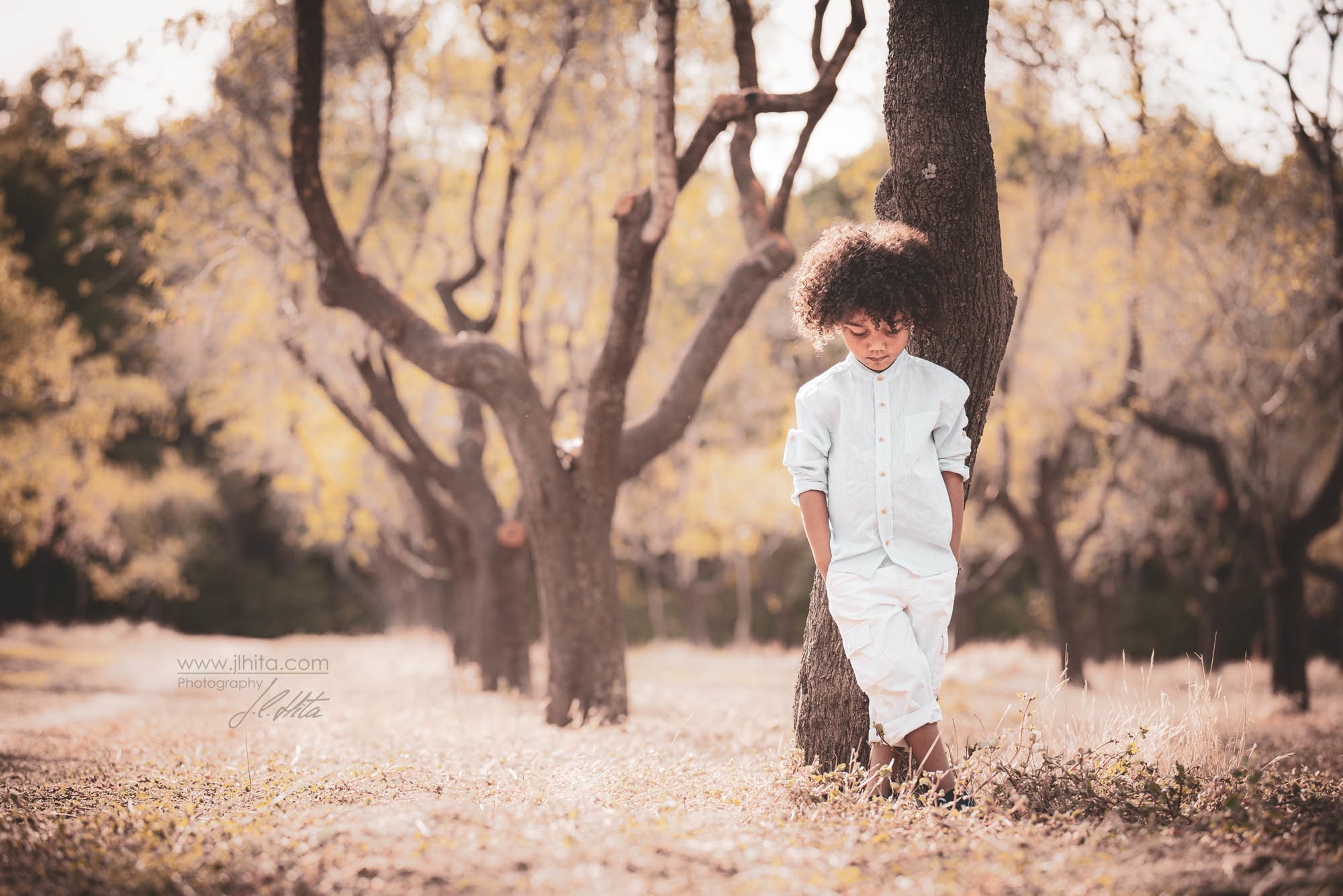 Descansando en un almendro