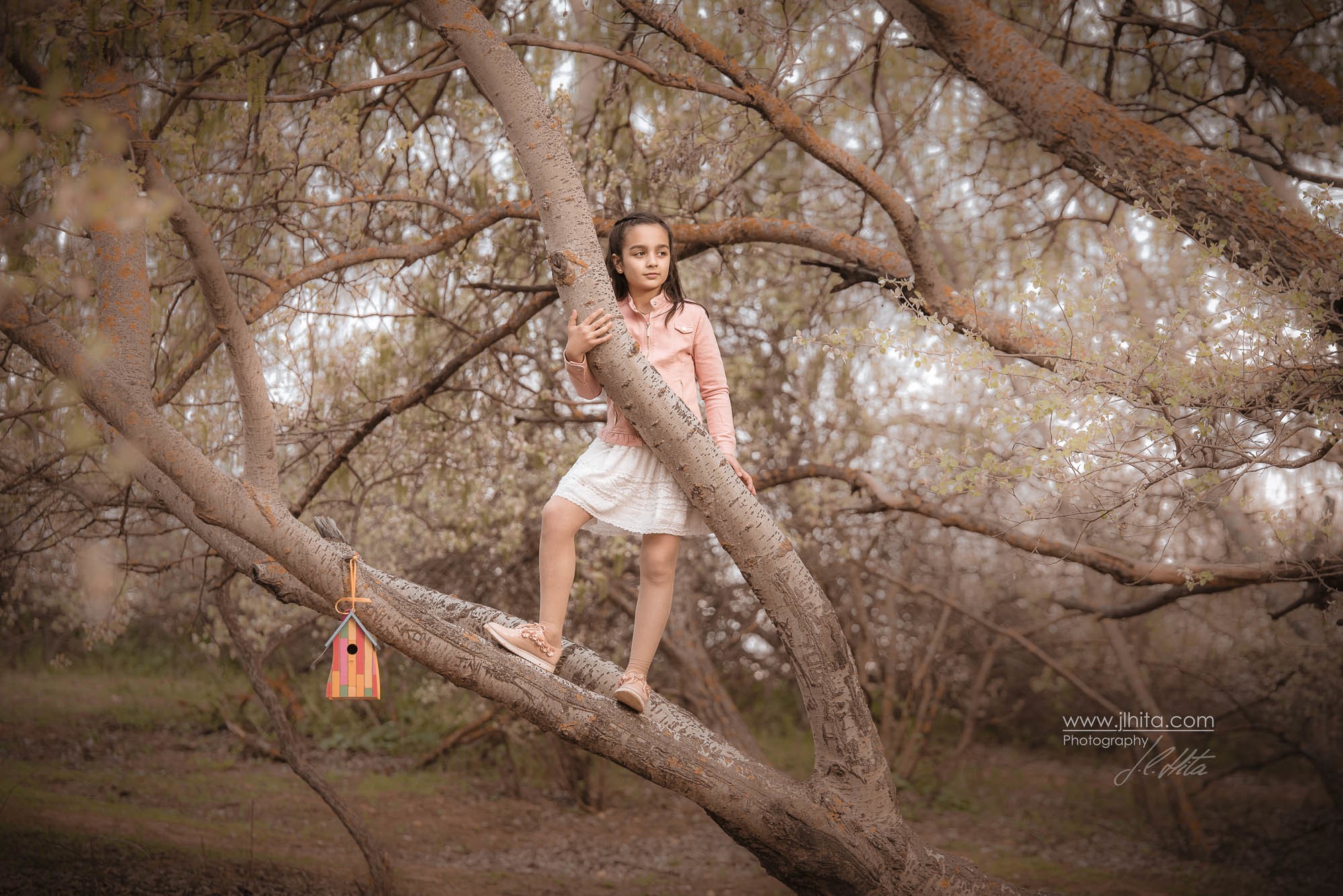 Leire subida al arbol