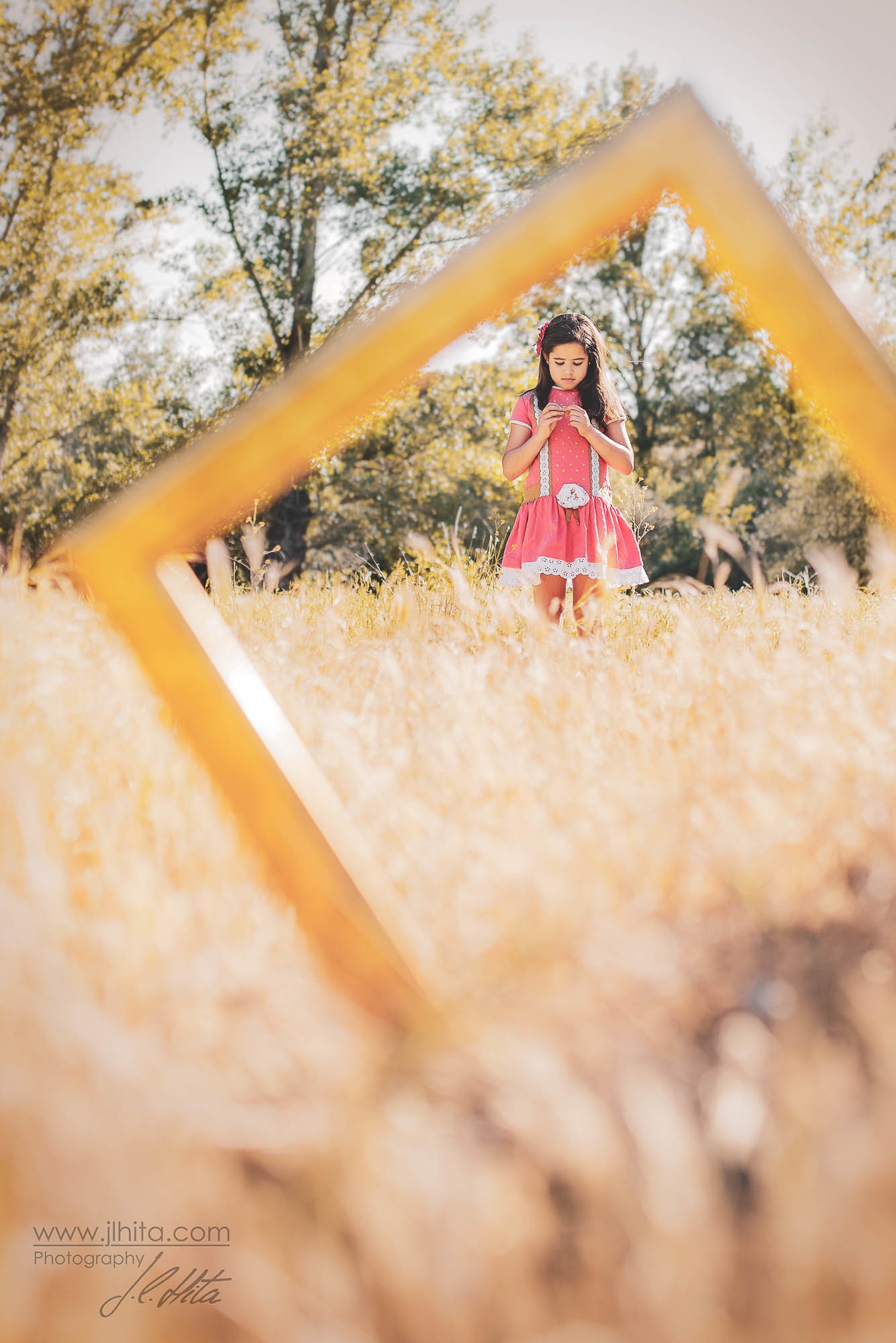 A través del cuadro