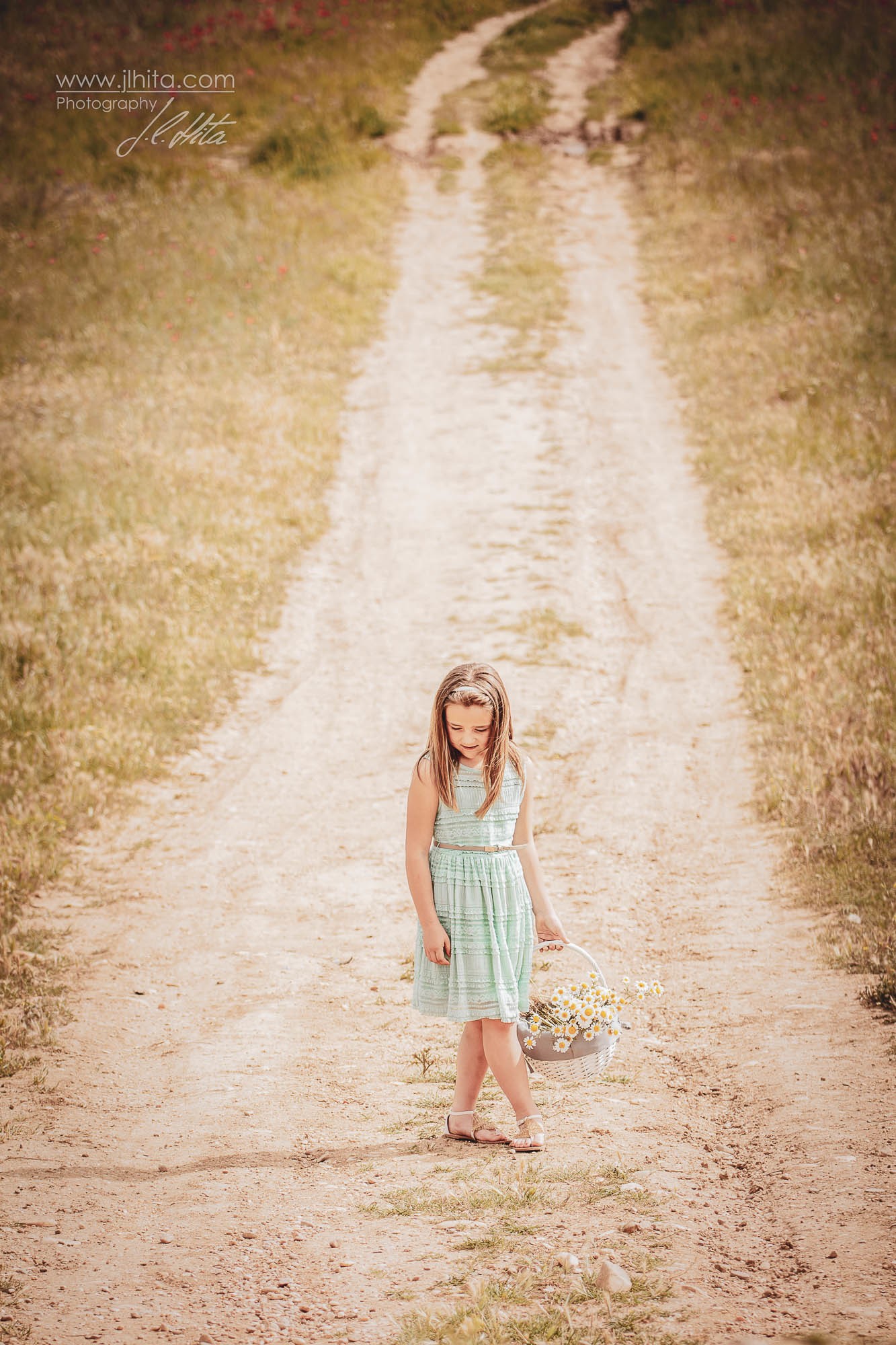 Triana camino cesta margaritas