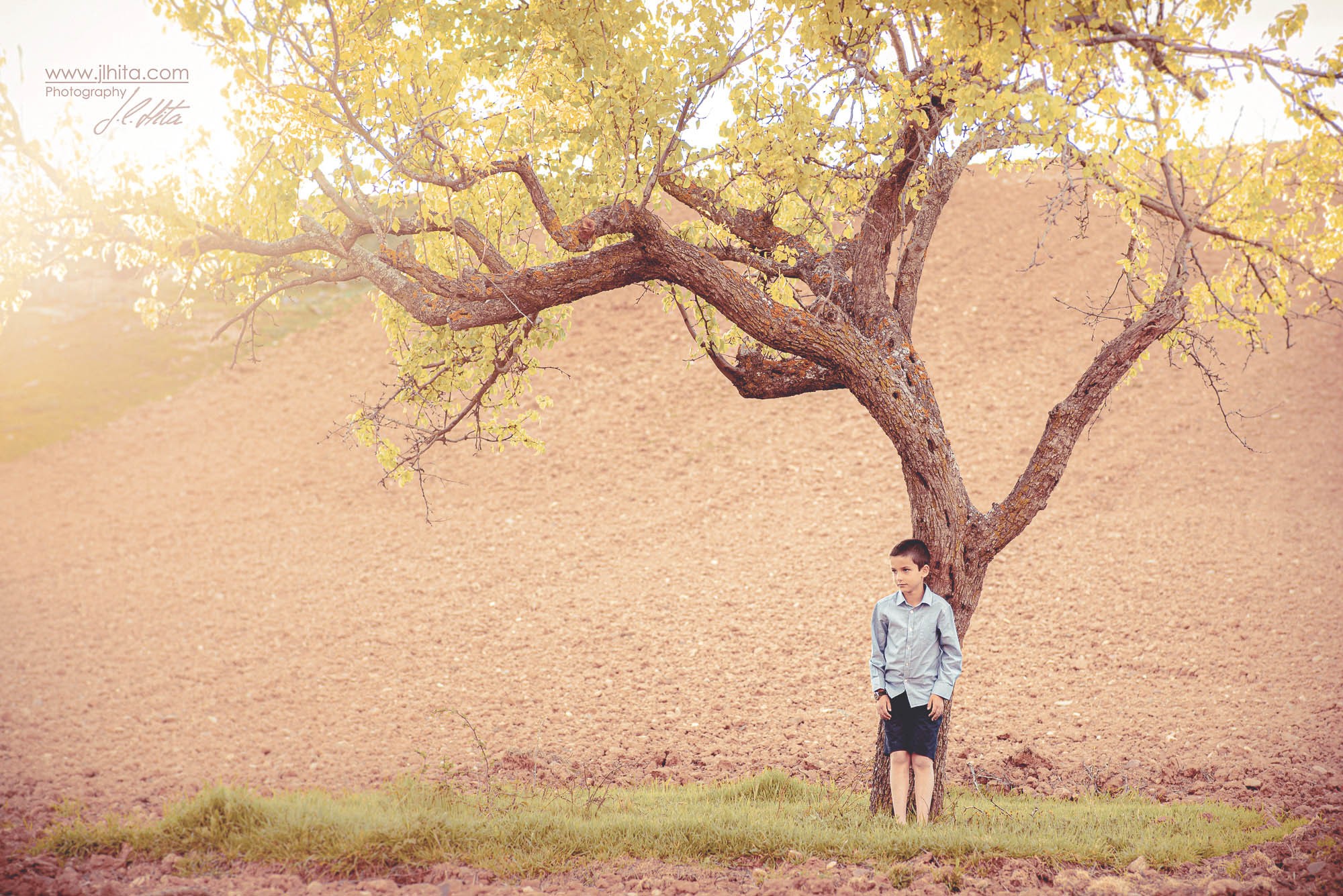 Alvaro campiña Guadalajara